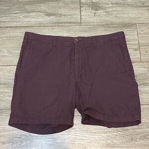 Goodfellow & Co Shorts (stained)